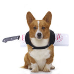 Halloween "Attacked" Costume NALA'S Pet Closet