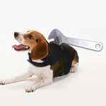 Halloween "Attacked" Costume NALA'S Pet Closet