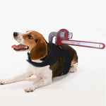 Halloween "Attacked" Costume NALA'S Pet Closet