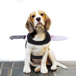 Halloween "Attacked" Costume NALA'S Pet Closet