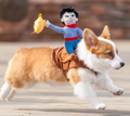 Riding Cowboy Costume