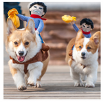 Riding Cowboy Costume NALA'S Pet Closet