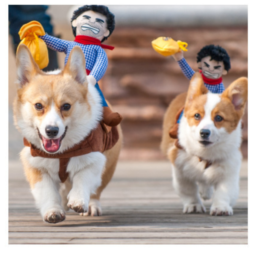 Riding Cowboy Costume NALA'S Pet Closet
