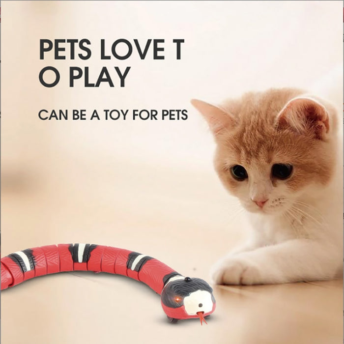 Smart Sensing Snake TeaseToys - NALA'S Pet Closet