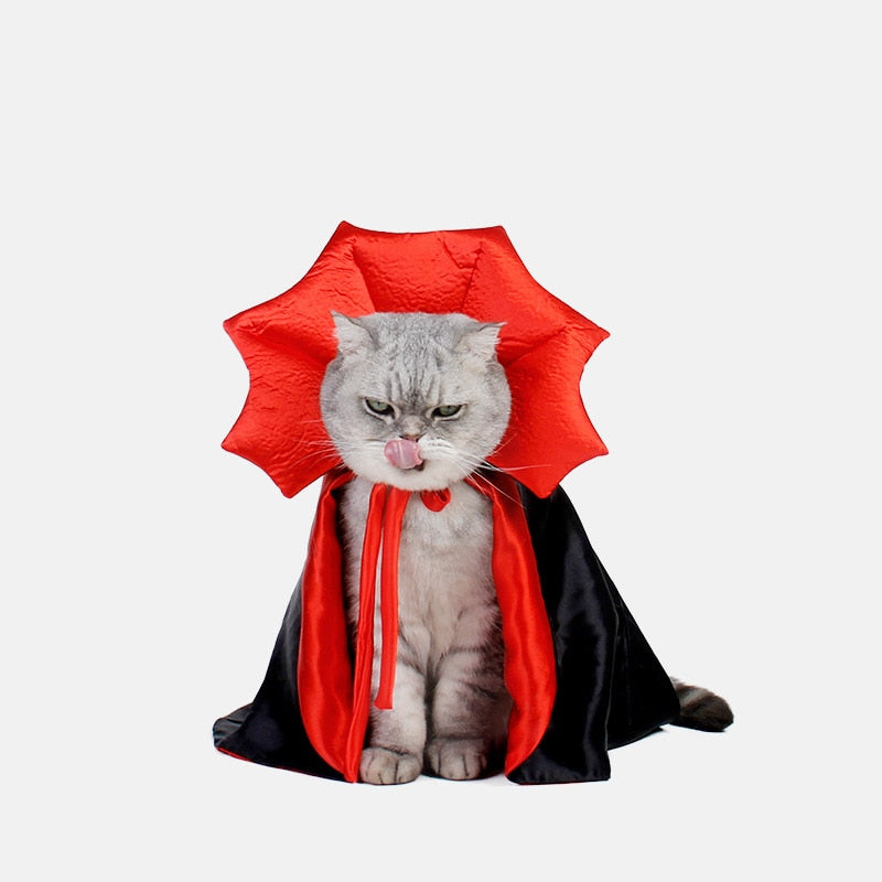Vampire Cat Costume - NALA'S Pet Closet
