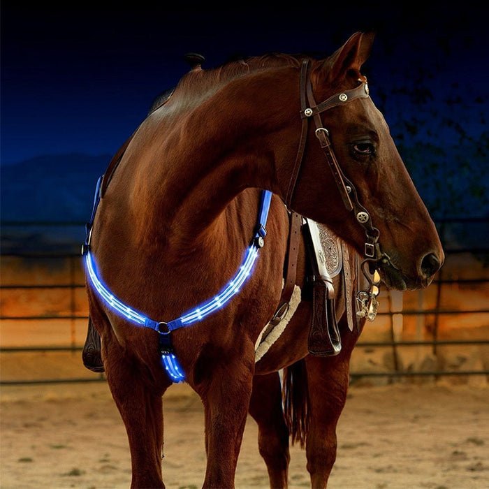 Arnés de caballo LED