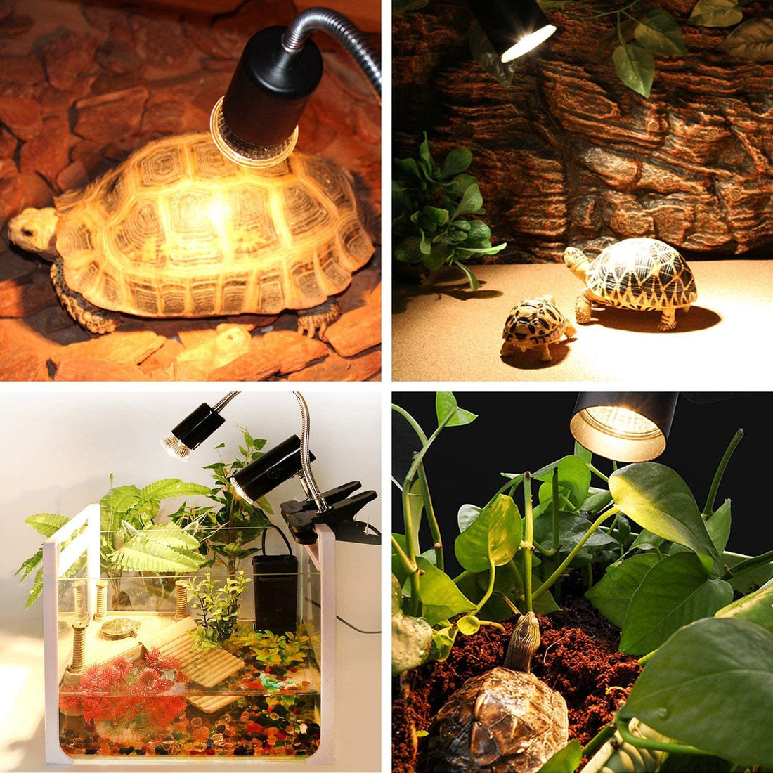 Reptile Heat Lamp - NALA'S Pet Closet